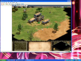 [Age of Empires II on VMware 5.5]