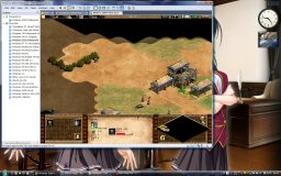 [Age of Empires II on VMware 6.5]