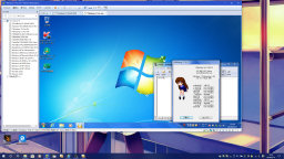 [Windows 7 Professional (x64)ゲスト]