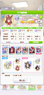 [新ミホノブルボンのステータス(サポート)]