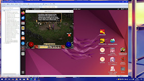 [Wine上で実行中の『Diablo II』]