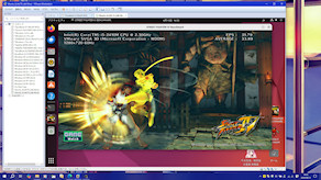 [Wine上で実行中の『STREET FIGHTER IV Benchmark』]
